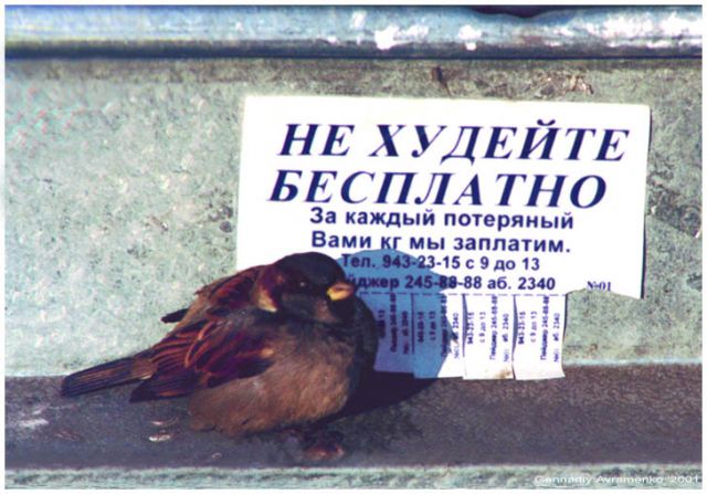 минусы гречневой диеты