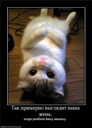 найти диетолога